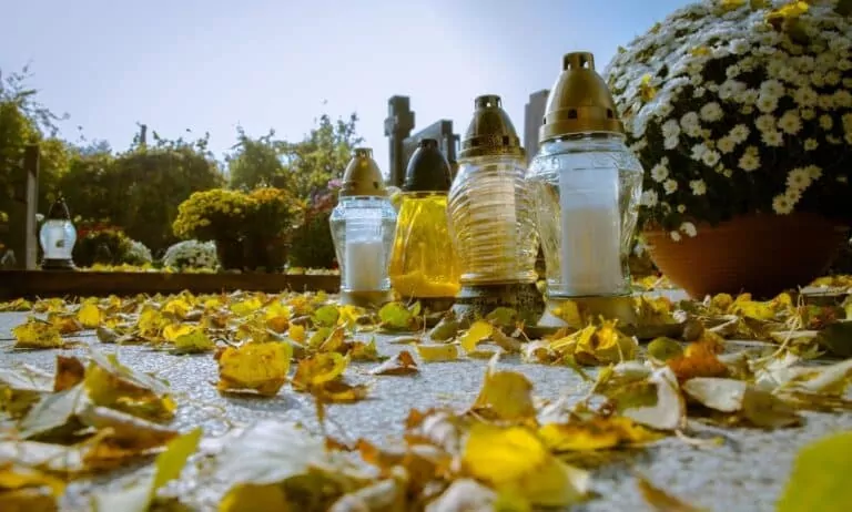 Wszystkich Świętych. Jak dojechać na cmentarze w Gdyni? (FOTO: canva.com)