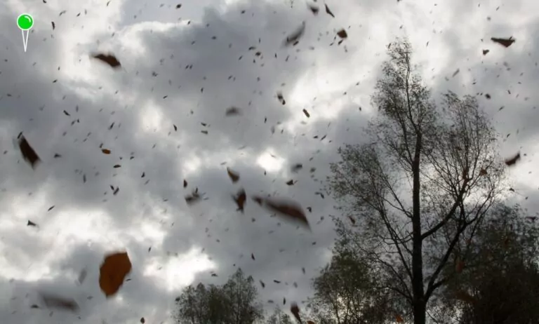 Fatalna pogoda na długi weekend – alert przed wichurami (FOTO: canva.com)