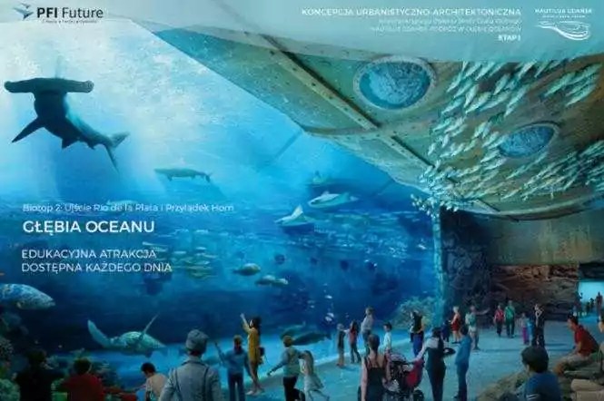 Oceanarium Gdańsk. Wszystko co powinieneś wiedzieć (FOTO: mat.prasowe)