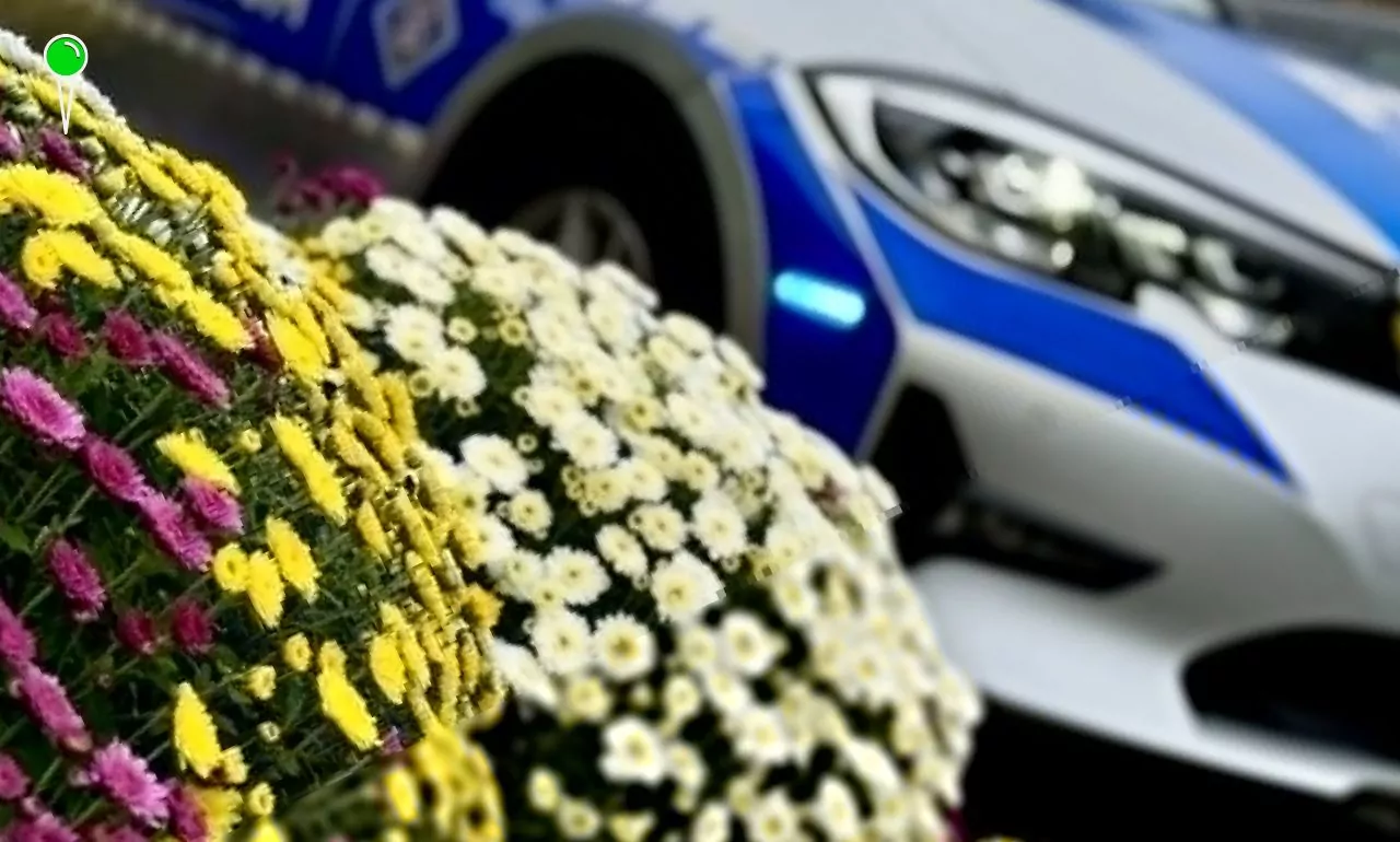 Setki nietrzeźwych kierowców zatrzymanych 1 listopada (FOTO: KWP Gdańsk/x)