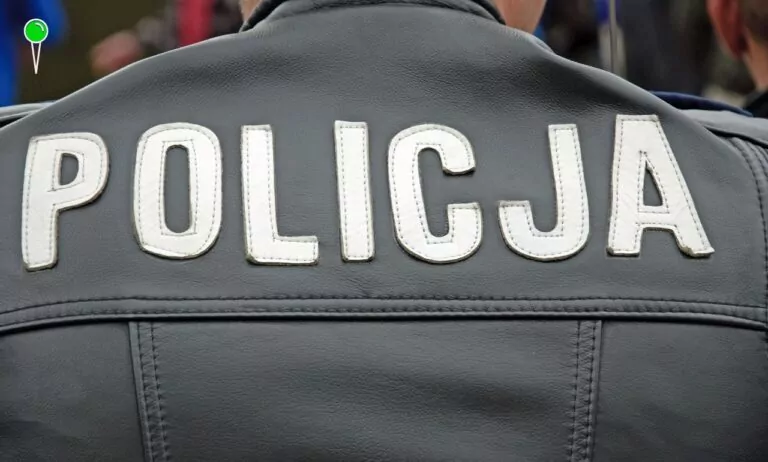 Policjanci masowo idą na L4 – „psia grypa” paraliżuje służbę (FOTO: canva.com)
