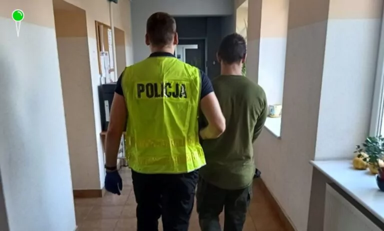 Policja zatrzymała włamywacza z Pruszcza Gdańskiego (FOTO: canva.com)