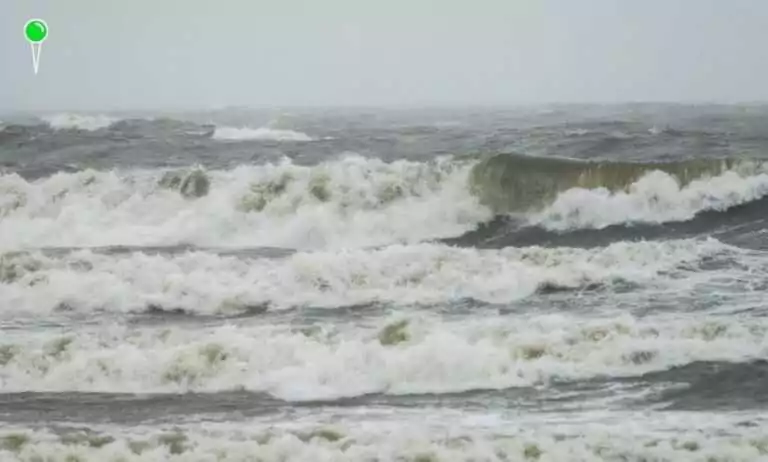 Porywisty wiatr w Gdańsku. Obiekty rekreacyjne i cmentarze zamknięte (FOTO: gdansk.pl)
