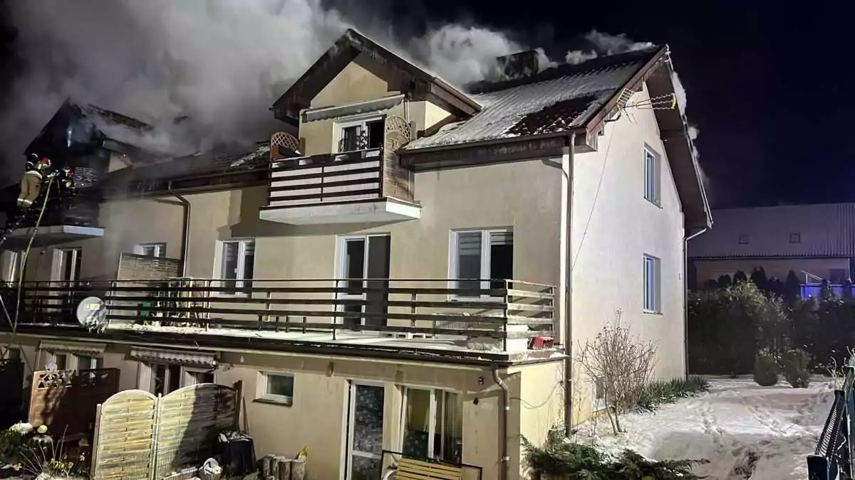 Pożar w Dębogórzu (FOTO: KWP Gdańsk)