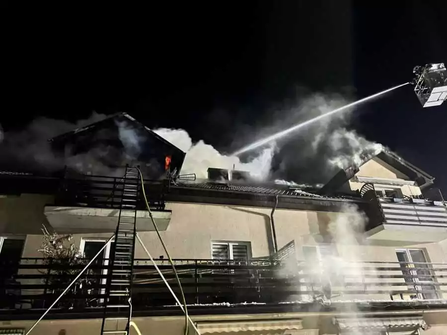 Pożar w Dębogórzu (FOTO: KWP Gdańsk)