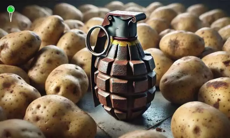 Granat obronny w ziemniakach przeznaczonych na frytki (FOTO: canva.com)