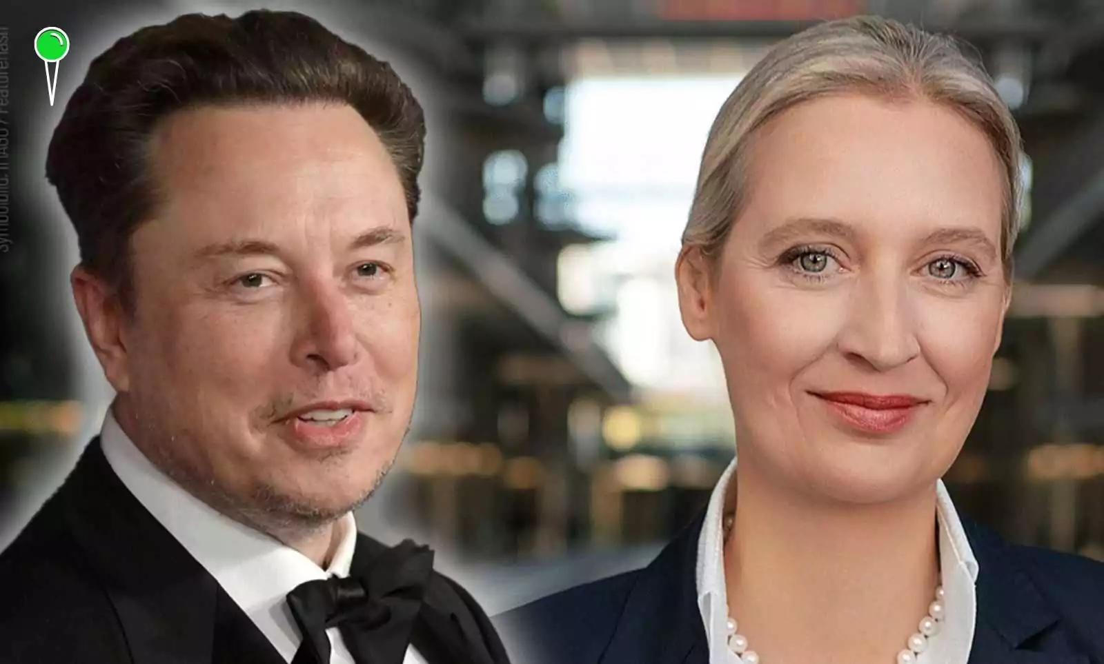 Elon Musk wspiera AfD. Kontrowersyjne wystąpienie w Halle (FOTO: AFD)
