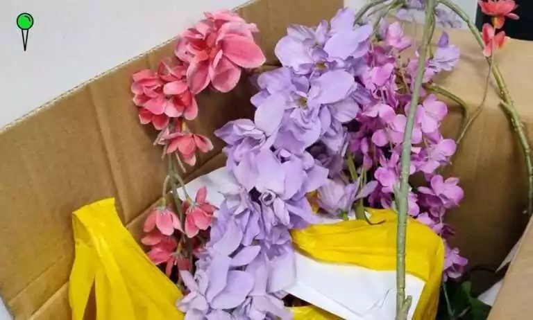 Kobieta kradła kwiaty i lampki z ogródków restauracyjnych (FOTO: KMP Gdańsk)