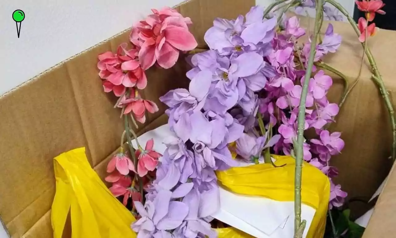 Kobieta kradła kwiaty i lampki z ogródków restauracyjnych (FOTO: KMP Gdańsk)