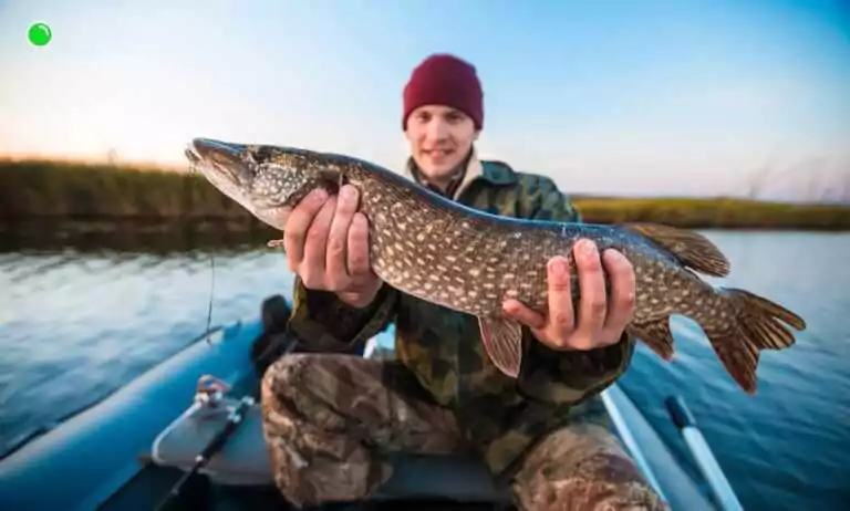 Kosztowne przepisy wędkarskie – co zastąpi „Nasze Łowiska”? (FOTO: canva.com)