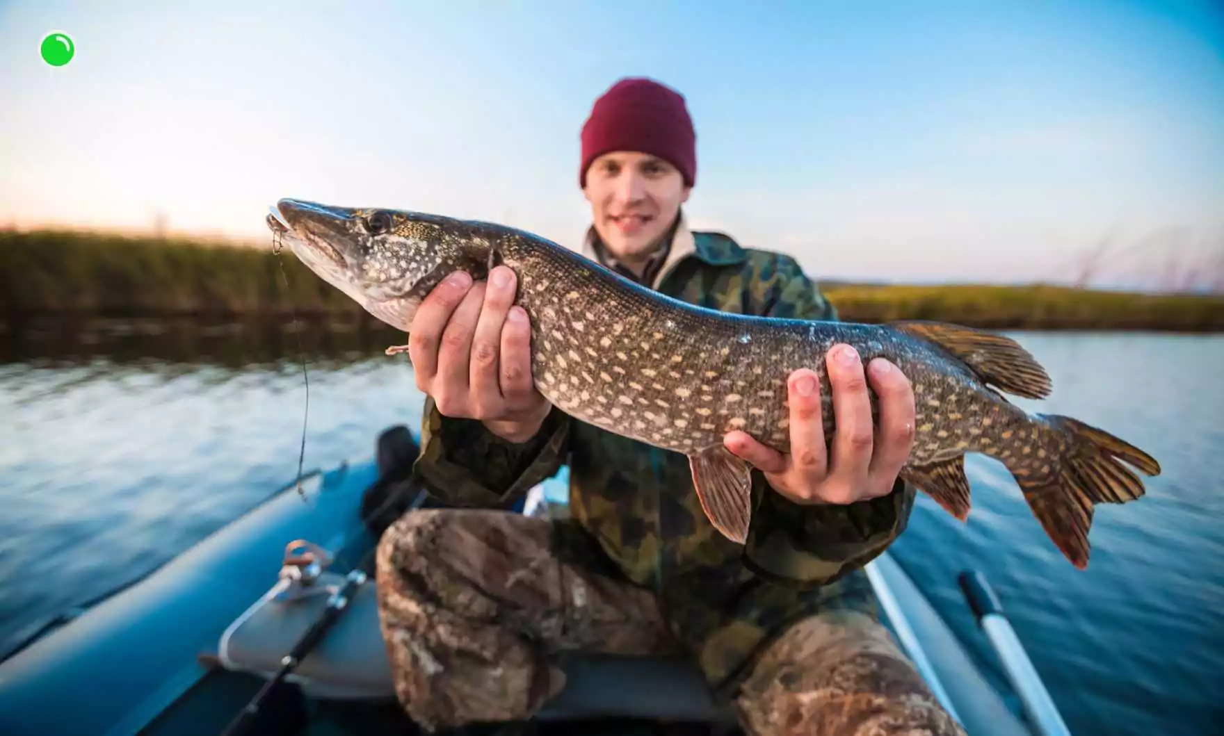 Kosztowne przepisy wędkarskie – co zastąpi „Nasze Łowiska”? (FOTO: canva.com)