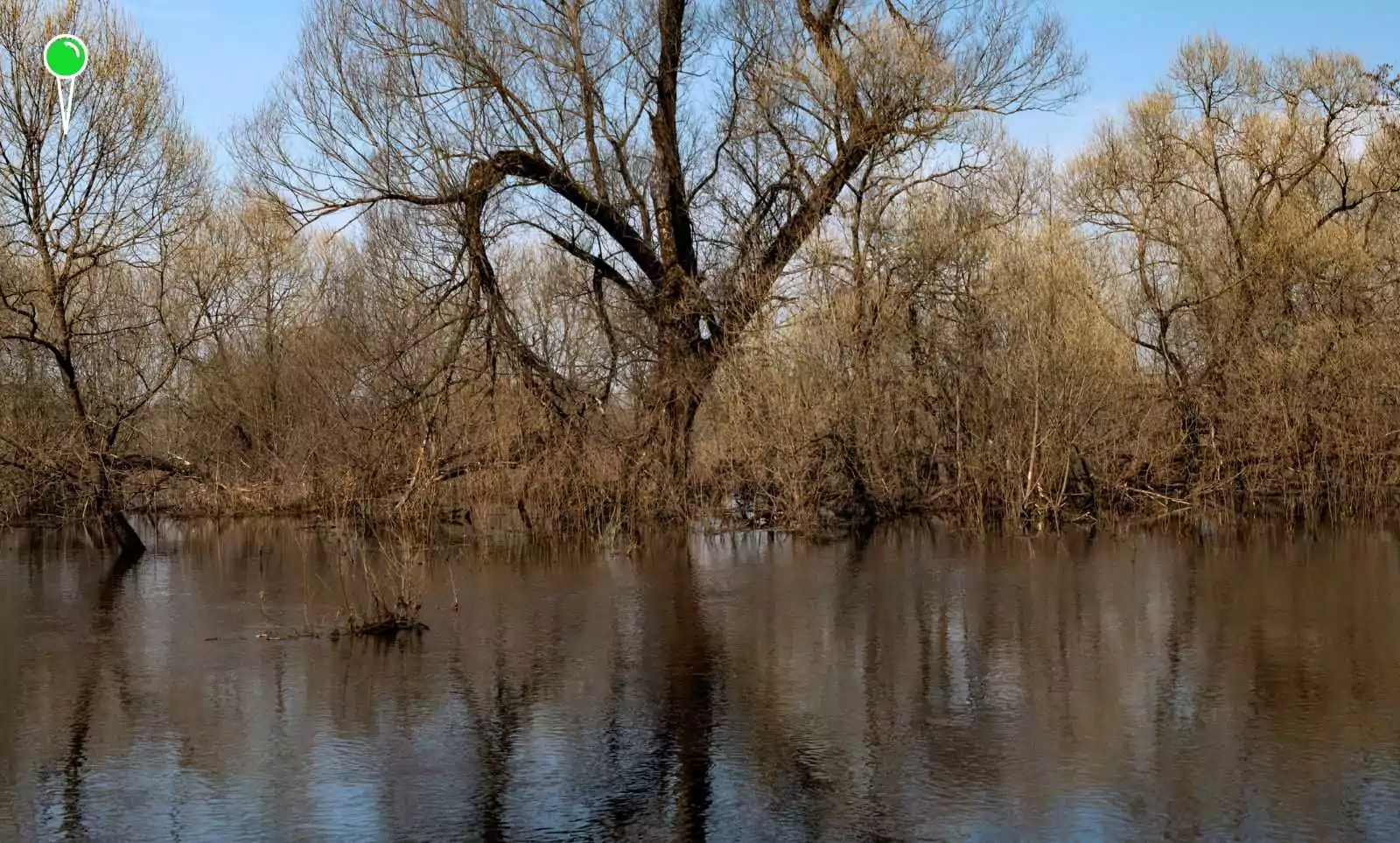 Żuławy zagrożone wezbraniem wody. Alert III stopnia (FOTO: canva.com)