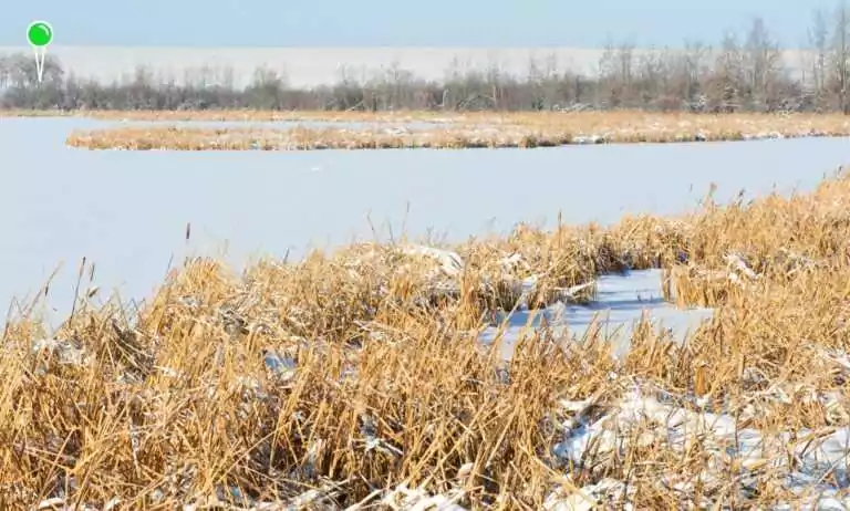 Żuławy zagrożone powodzią. Ostrzeżenie hydrologiczne (FOTO: canva.com)