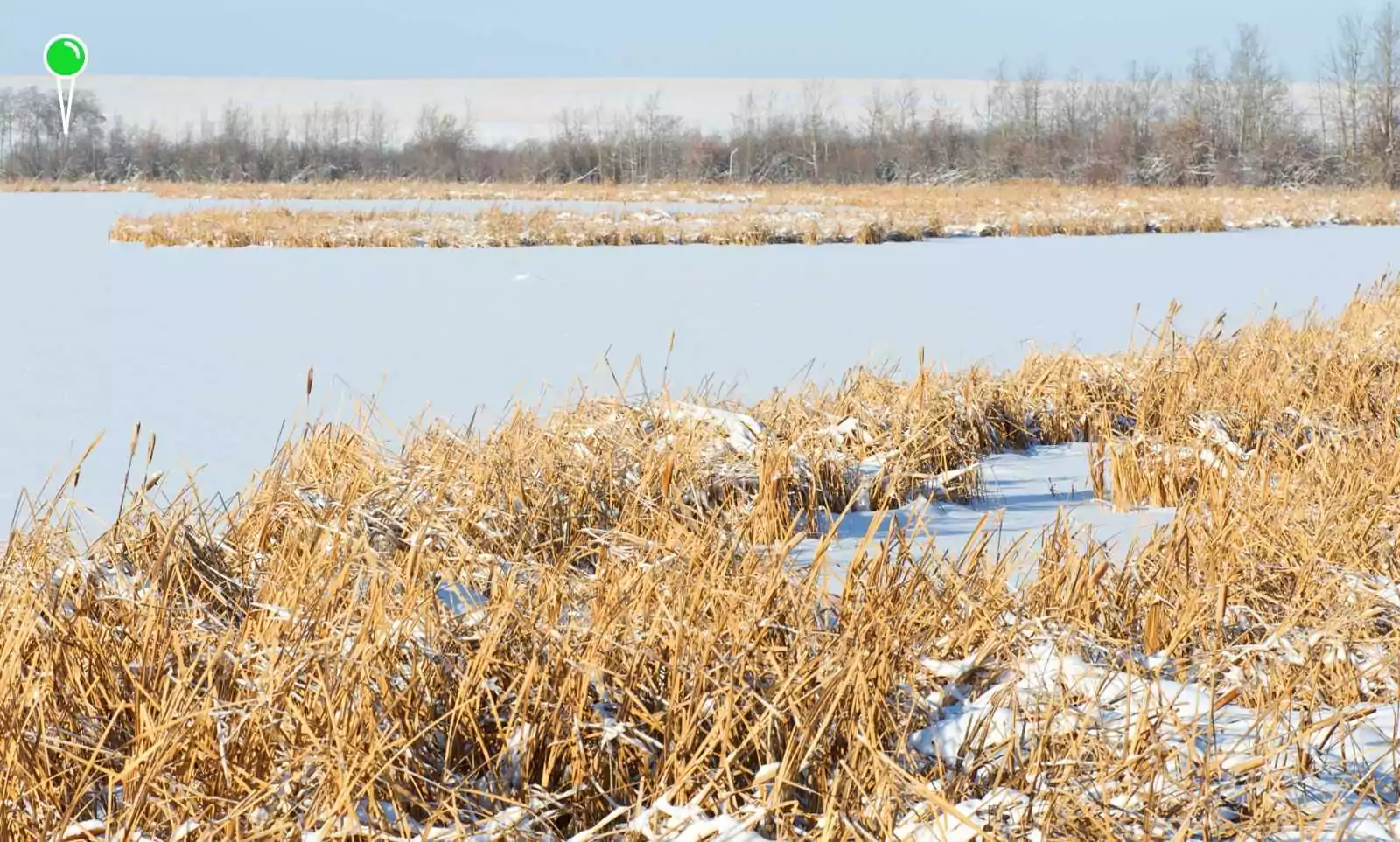 Żuławy zagrożone powodzią. Ostrzeżenie hydrologiczne (FOTO: canva.com)