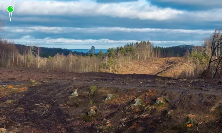 Budowa obwodnicy Witomina rusza 18 lutego – co się zmieni? (FOTO: UM Gdynia)
