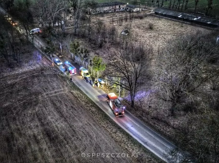 Czworo dzieci rannych w wypadku drogowym (FOTO: OSP Pszczółki)