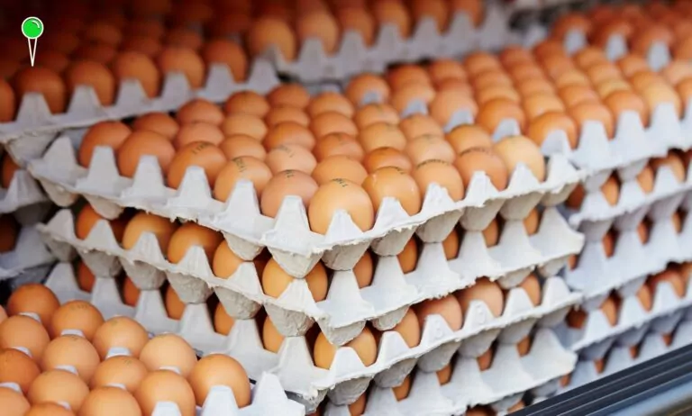 Jaja droższe o 15 proc. Eksperci przewidują dalsze podwyżki (FOTO: canva)