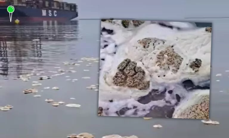 Nietypowe skupiska piany w Górkach Zachodnich i Stogach (zrzut ekranu Forum Stogi)