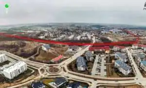 Tysiące drzew pod topór! PKM Południe wymazuje zieleń w Gdańsku (FOTO: canva.com)