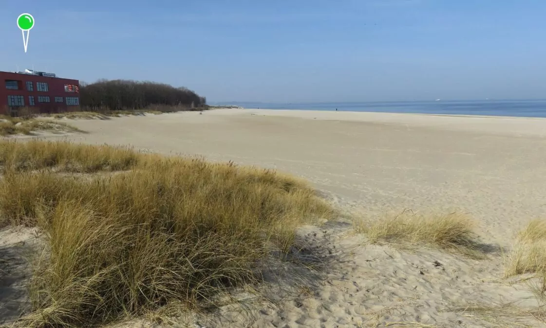 Zakaz kąpieli i plażowania na Westerplatte. Co ukrywa Port Gdańsk? (FOTO: wbijamszpile.pl)