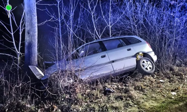 Czworo dzieci rannych w wypadku drogowym (FOTO: OSP Pszczółki)