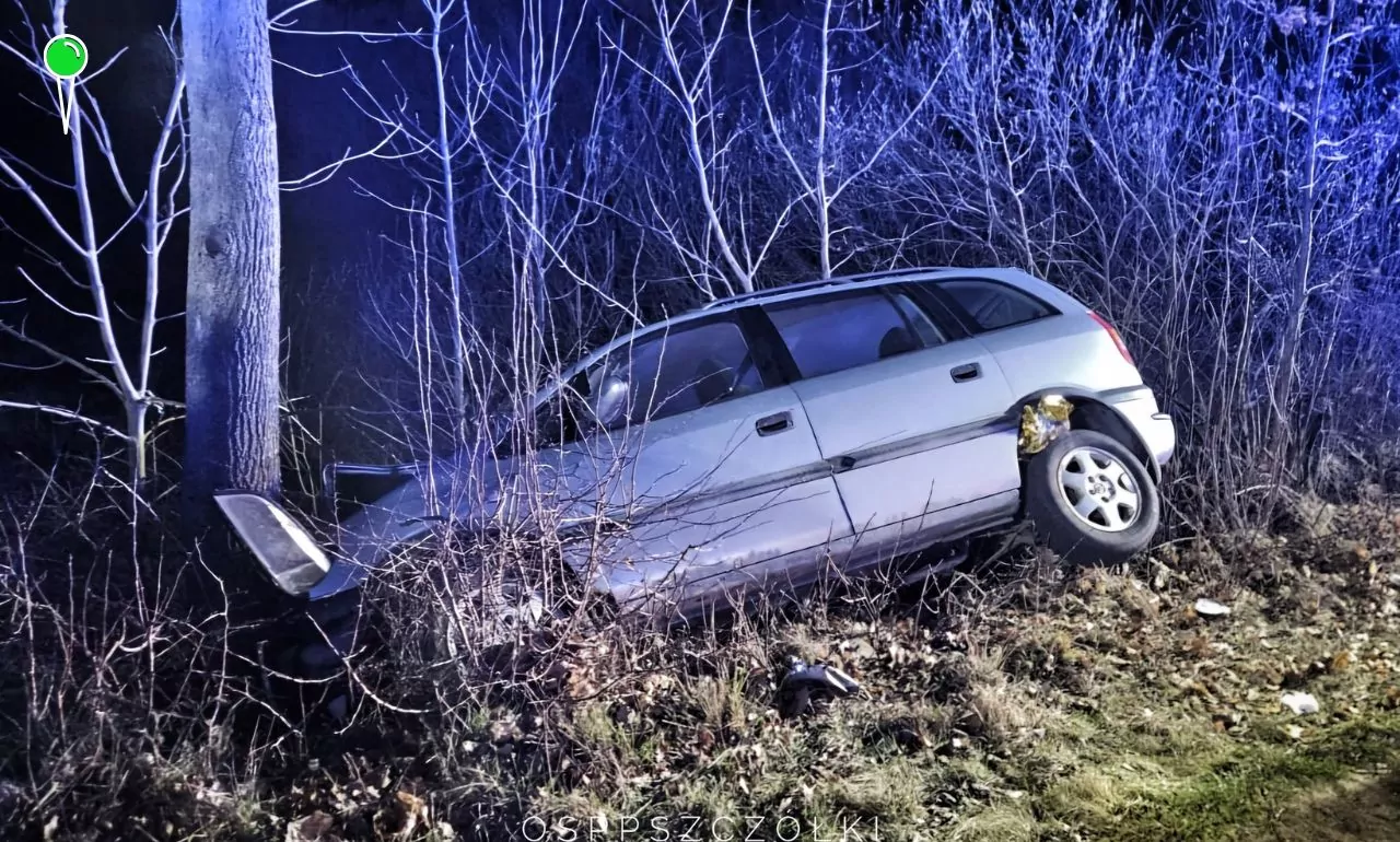 Czworo dzieci rannych w wypadku drogowym (FOTO: OSP Pszczółki)