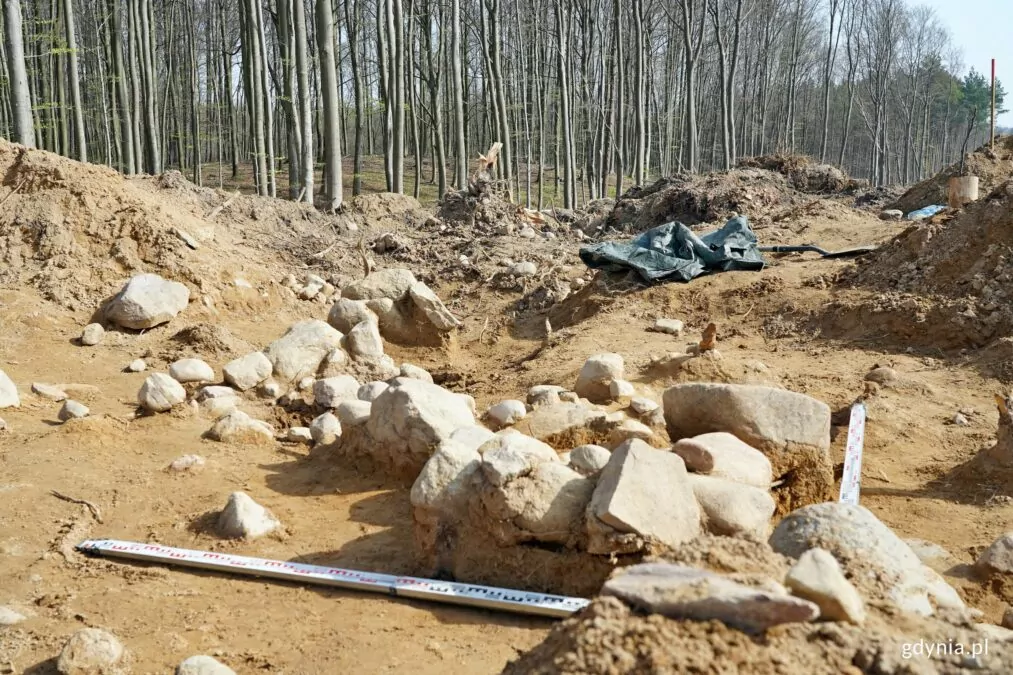 Pradawne kurhany na trasie Obwodnicy Witomina (FOTO: Magdalena Czarnek/gdynia.pl)