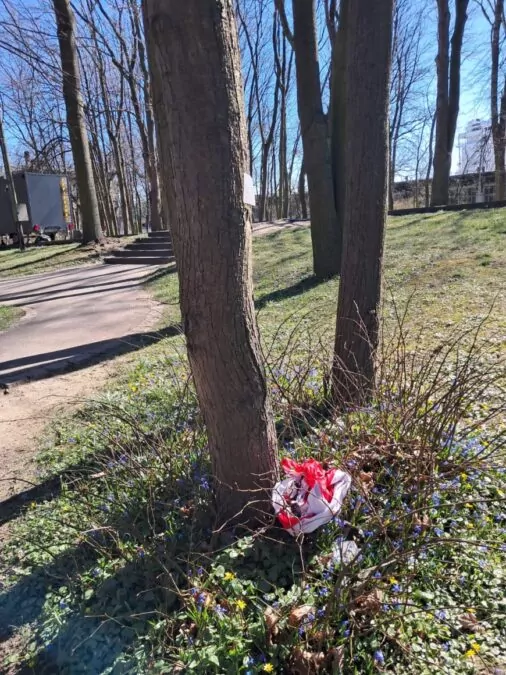 Haniebny wandalizm! Zniszczenie polskich flag na Westerplatte (FOTO: Muzeum II Wojny Światowej)