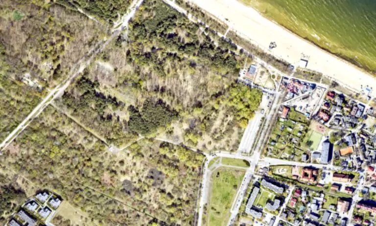 Las w Brzeźnie trafi pod topór? Deweloperzy węszą zyski (FOTO: Geo Portal gdans.pl)