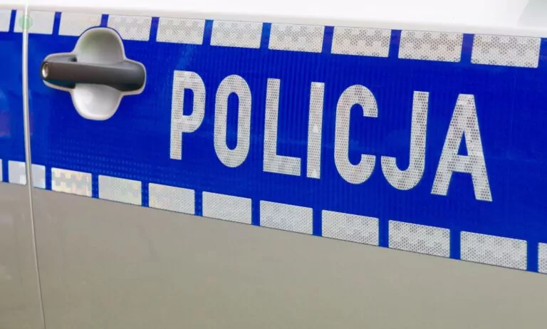 Czterolatek na gigancie w Malborku (FOTO canva)