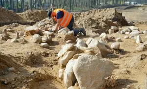 Pradawne kurhany na trasie Obwodnicy Witomina (FOTO: Magdalena Czarnek/gdynia.pl)