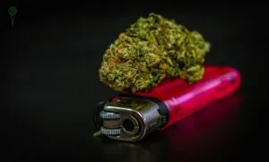 W jednej ze szkół na terenie Żukowa doszło do zatrzymania ucznia, który przyniósł ze sobą środki odurzające (FOTO; canva)