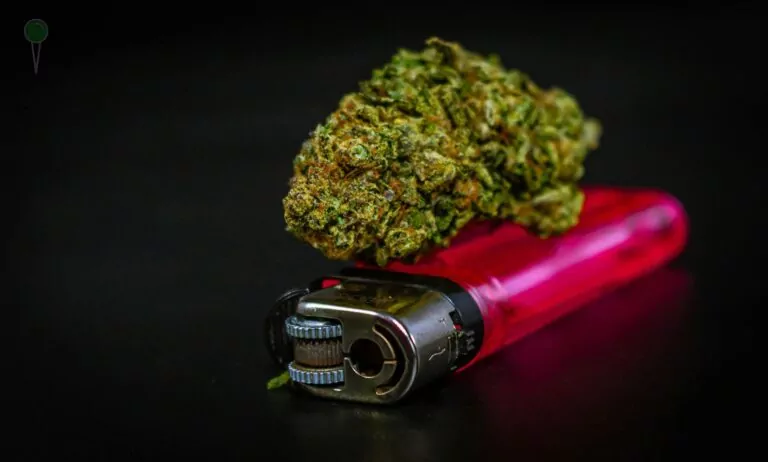 W jednej ze szkół na terenie Żukowa doszło do zatrzymania ucznia, który przyniósł ze sobą środki odurzające (FOTO; canva)