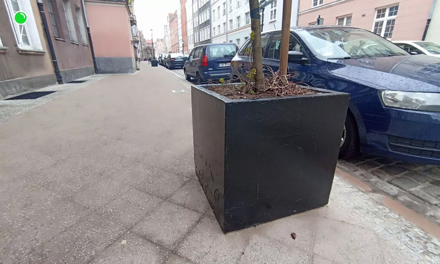 Ulica Ogarna w Gdańsku. Donice jak nowe po fali krytyki (FOTO: wbijamszpile.pl)