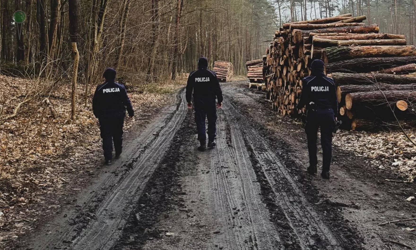 Trzech mężczyzn zgubiło się w lesie pod Gniewem (FOTO: KPP Tczew)