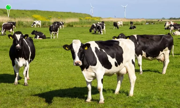 To uderzy w rolników. Warunki zabudowy idą do lamusa (FOTO: canva)