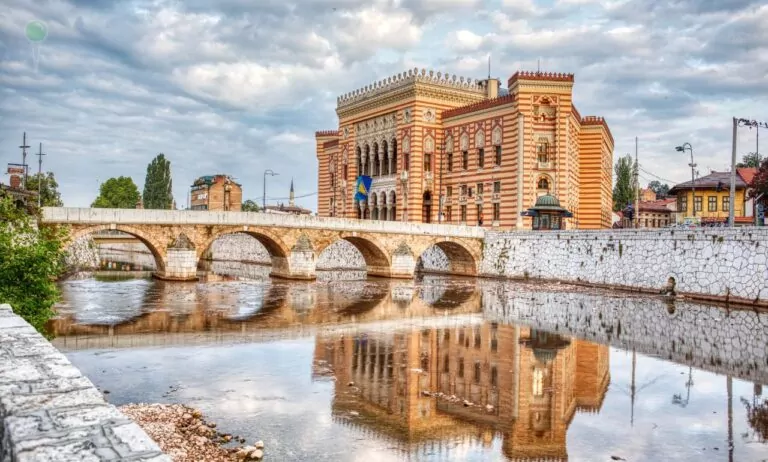 Epidemia w Sarajewie. Miasto opanowane zostało przez szczury (FOTO: canva.com)