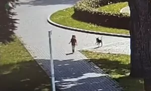 Szok w Lęborku. 3-latka błąkała się po drodze, matka po narkotykach (FOTO: canva)