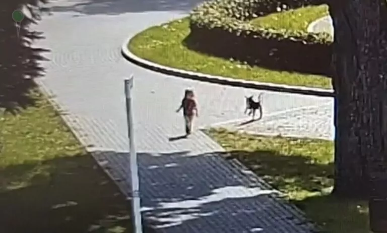 Szok w Lęborku. 3-latka błąkała się po drodze, matka po narkotykach (FOTO: canva)