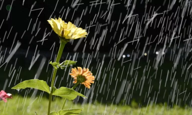 Wybory w deszczu – czy zimno wpłynie na frekwencję? (FOTO: canva.com)