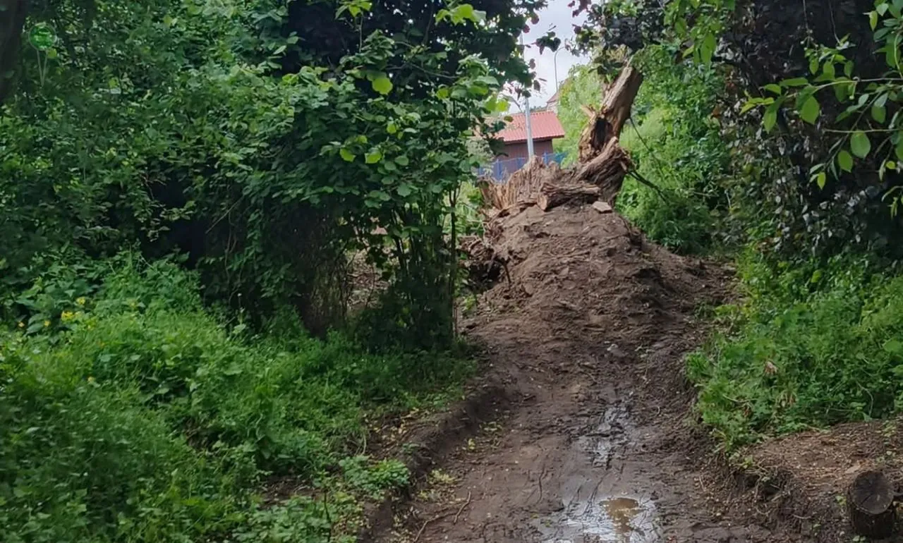 Czytelnik: Gdańsk niszczy dziecięcy tor – skandal na Stogach (FOTO: czytelnik Jacek)