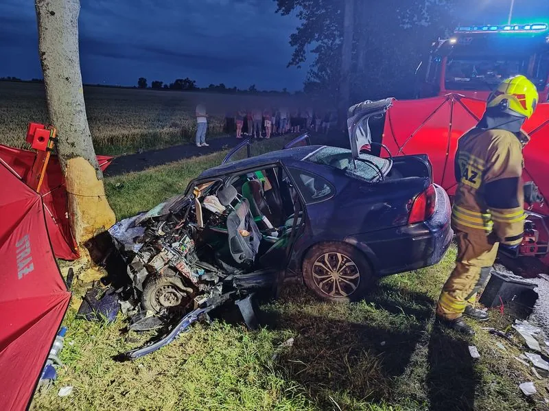 Tragedie młodych kierowców na Pomorzu. Wypadki dzień po dniu (FOTO: KPP Malbork)