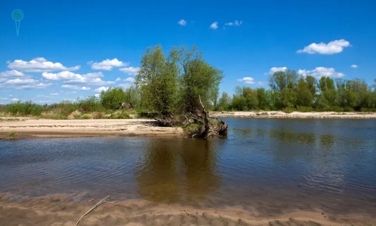 Susza hydrologiczna ogarnia całą Polskę (FOTO: canva)