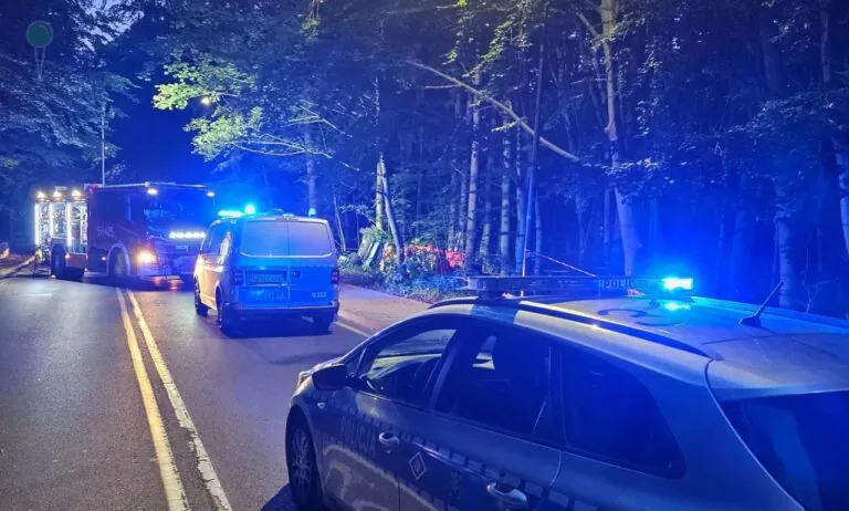 Śmiertelny wypadek w Sopocie. Lexus roztrzaskał się na drzewie (FOTO: KWP Gdańsk)