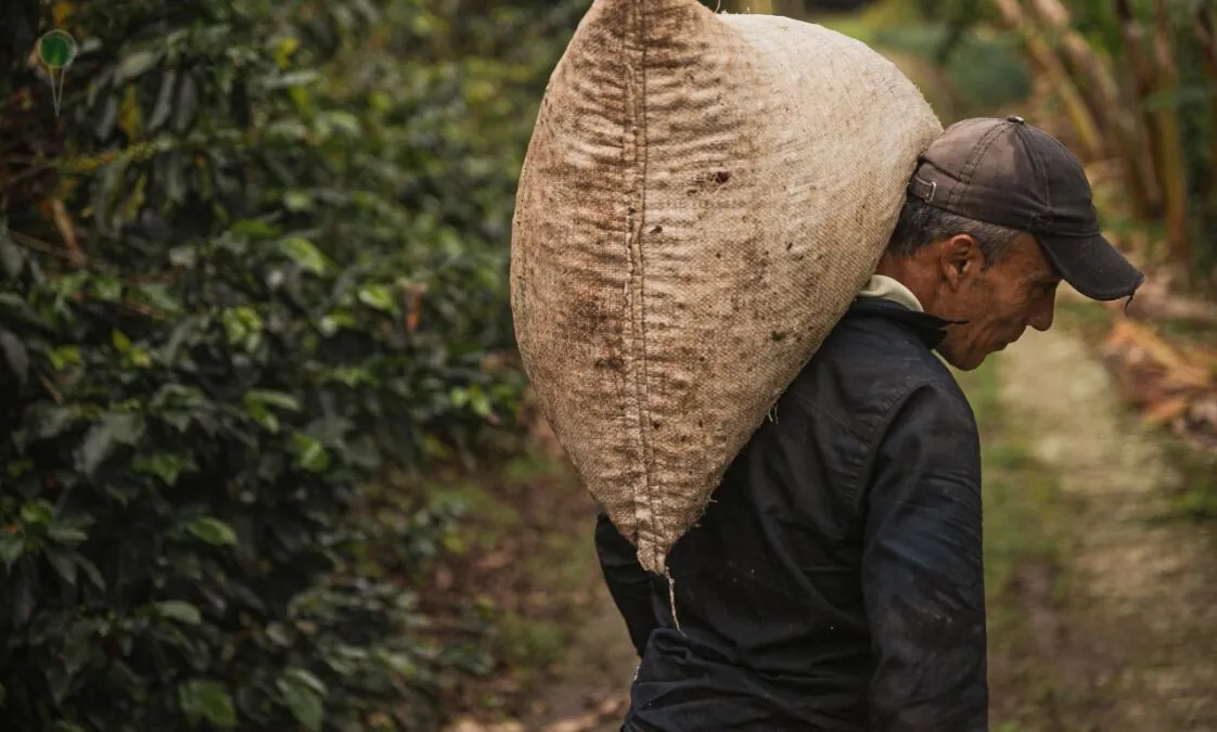 "Polski sen" obywateli Kolumbii i Wenezueli na wizach turystycznych (FOTO: canva)