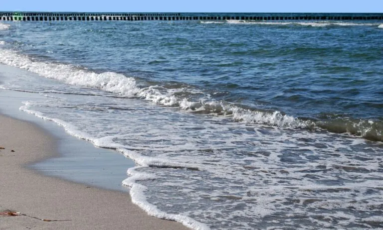 Można kąpać się w zatoce Mierzei Wiślanej (FOTO: canva)