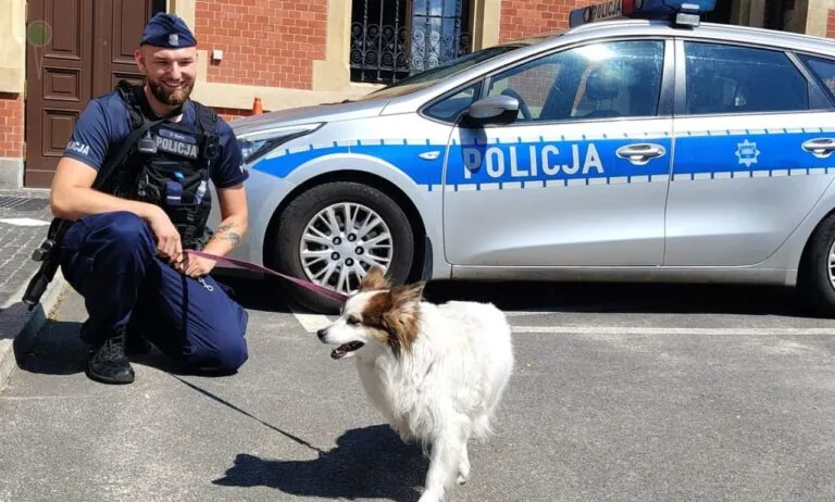 Policjant z Gdańska ratuje psa na dworcu w Gdańsku (FOTO: canva)