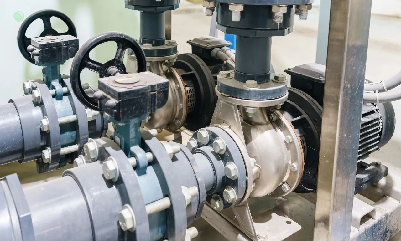 Zawiadomienie przeciwko Czarzyńskiej‑Jachim za brak działań (FOTO: canva)