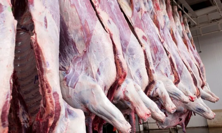 Nielegalne zatrudnienie Kolumbijczyków na Pomorzu. Pracowali bez zezwoleń (FOTO: canva)