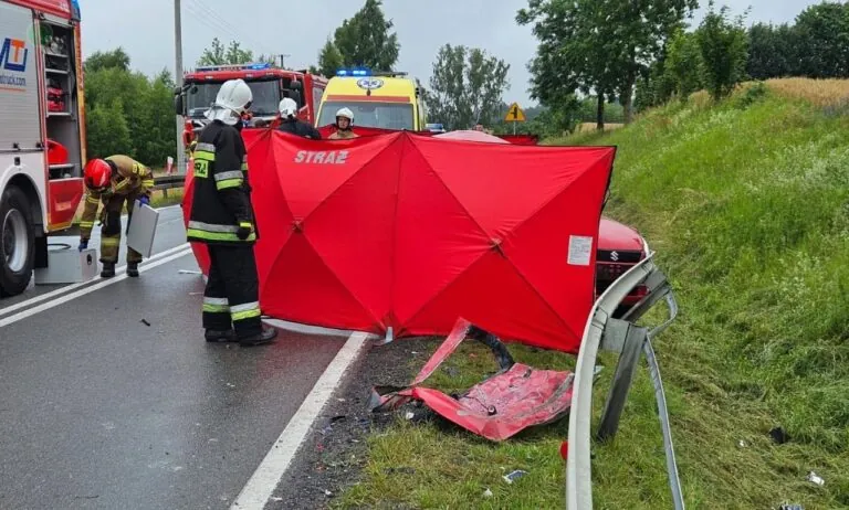 Śmiertelny wypadek w Mokrzynie. Zablokowana droga krajowa nr 20 (FOTO: PSP Gdańsk)
